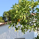 Rastoni Skiathos Troulos