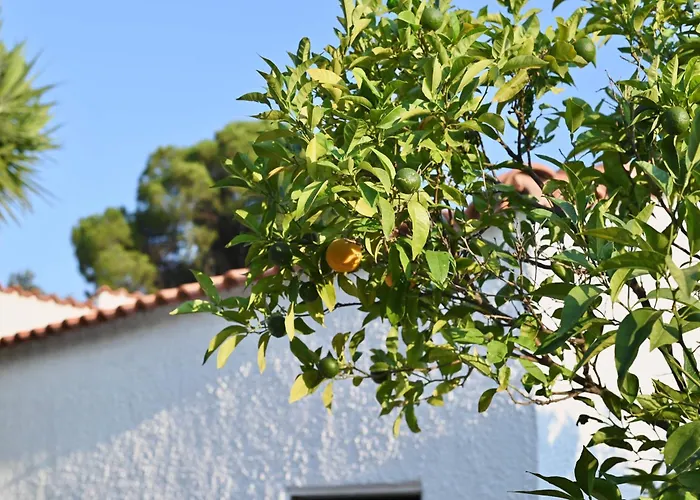 Rastoni Skiathos 트롤로스