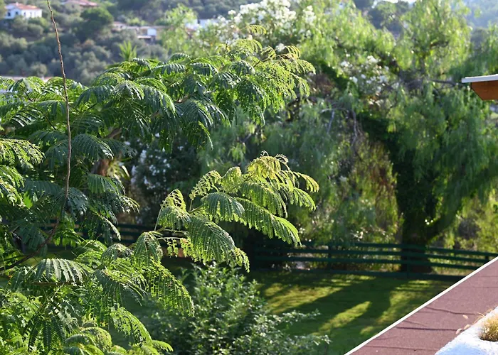 Rastoni Skiathos * 트롤로스