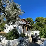 Rastoni Skiathos