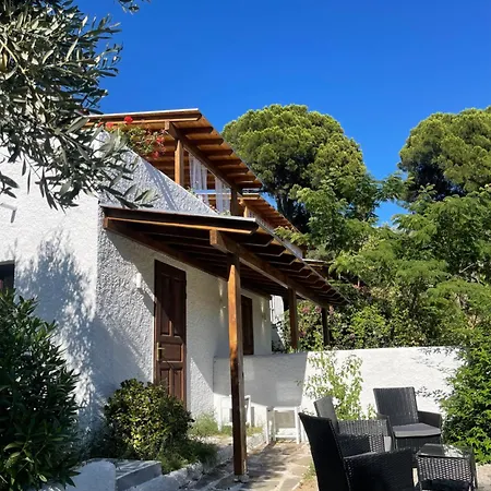 Rastoni Skiathos